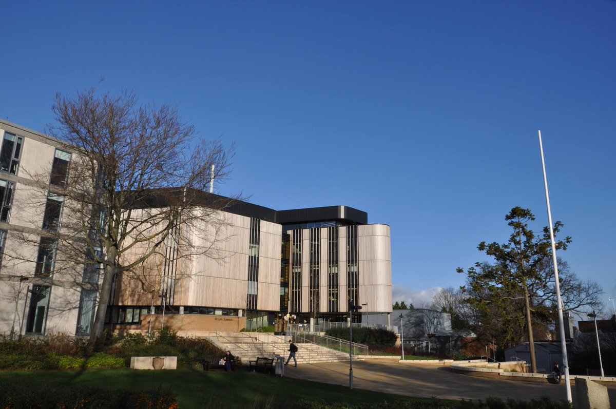 AECGlobal's tweet photo. University of Southampton has an international students body of 5000. http://t.co/wDK471gJct http://t.co/6CJDSo8MEO