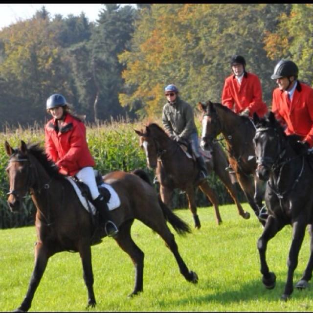LoggiaGloria's tweet image. InstaPic by ride_to_dream_: Long time ago❤️ #fuchsjagd#ruedertal#chianti
-Laura