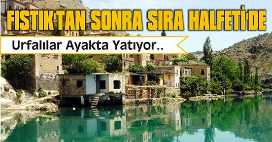 FISTIK’TAN SONRA SIRA HALFETİ’DE
sanliurfasembol.com/117331-fistik-…