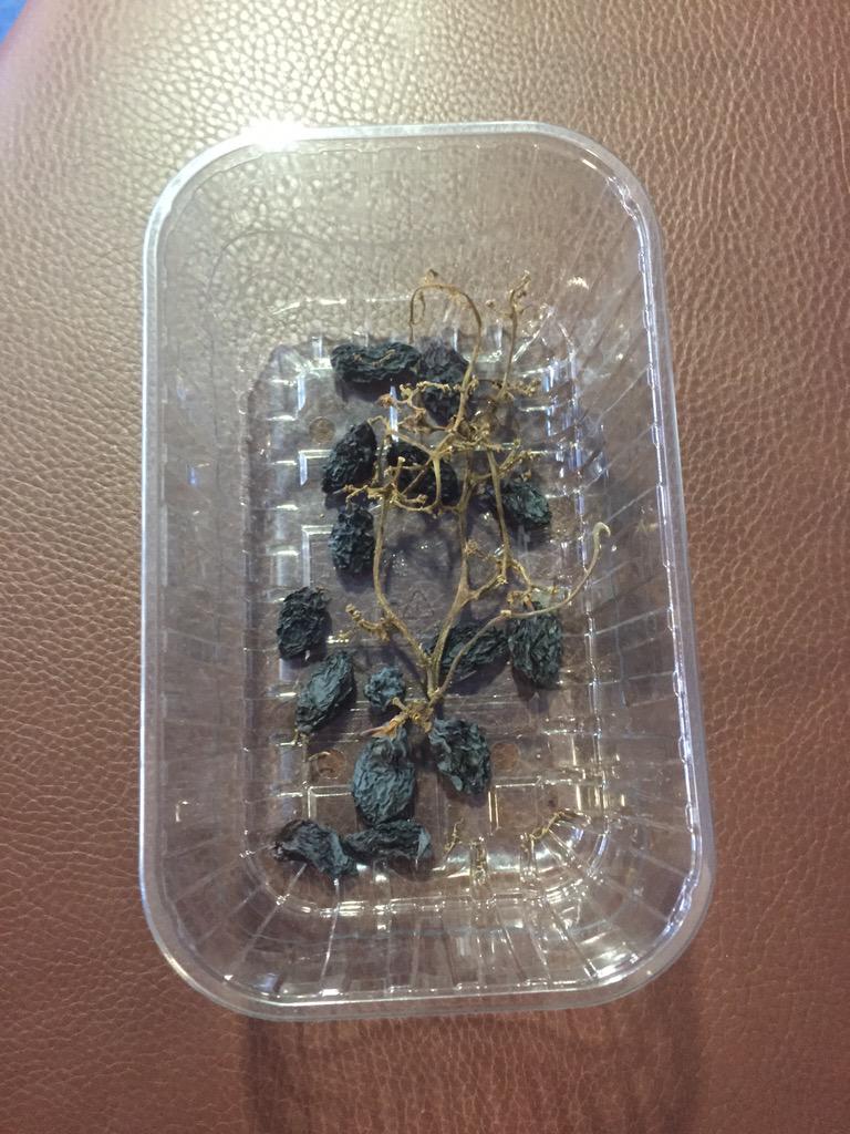 Gee_Spanoudakis's tweet photo. Forgot these were in your locker did you Jennie? @jinchinn http://t.co/p2zNuMmbeH