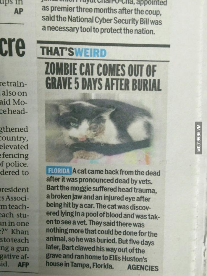 NotesFez's tweet image. Sh*t Just Got Real
9gag.com/gag/a9LjwG0?re…