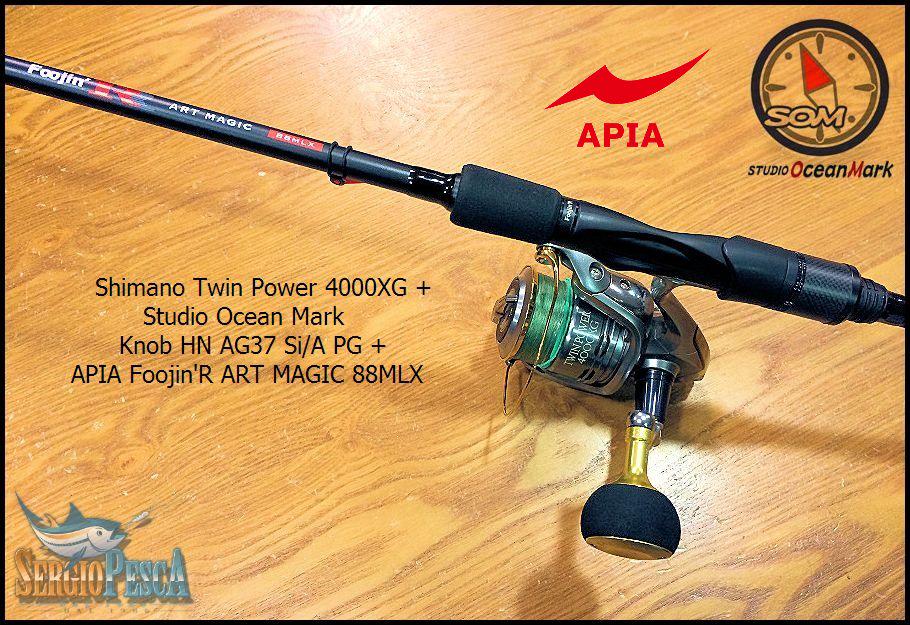 Sergio Pesca on Twitter: "Twin Power 4000XG Japan Custom & APIA Foojin