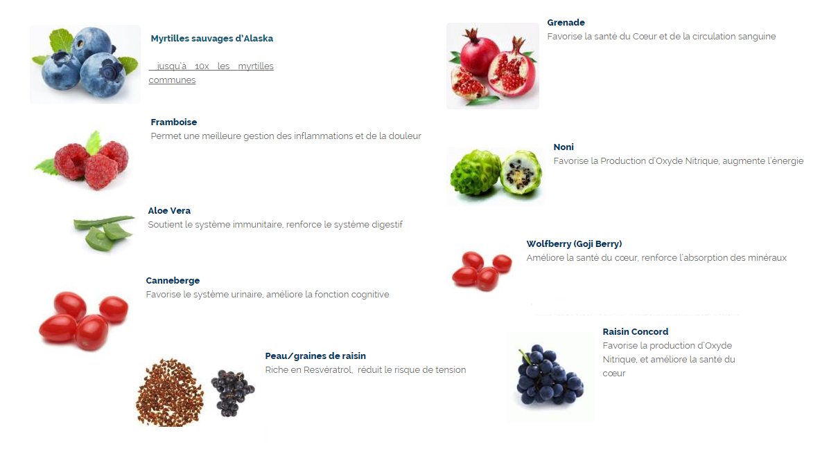 KyaniFR's tweet photo. Kyäni Sunrise est un complément nutritionnel à base de myrtilles sauvages d’Alaska et de 9 autres super-aliments http://t.co/Tcb8Z82mf4