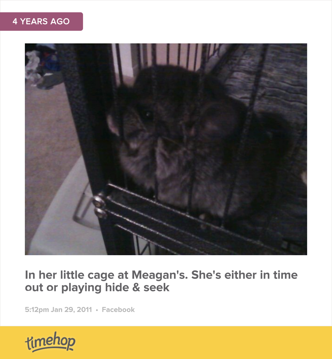 Miaj004's tweet photo. Awe, my sweet MJ Mink.  http://t.co/3ejaXnbue3 http://t.co/9ZV8jwJE8W