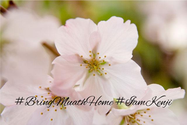 maya0520's tweet photo. お二人共無事に帰ってきますように願っています。
#BringMuathHome #FreeKenjiGoto
#IamKenji http://t.co/FP8AogPXGU