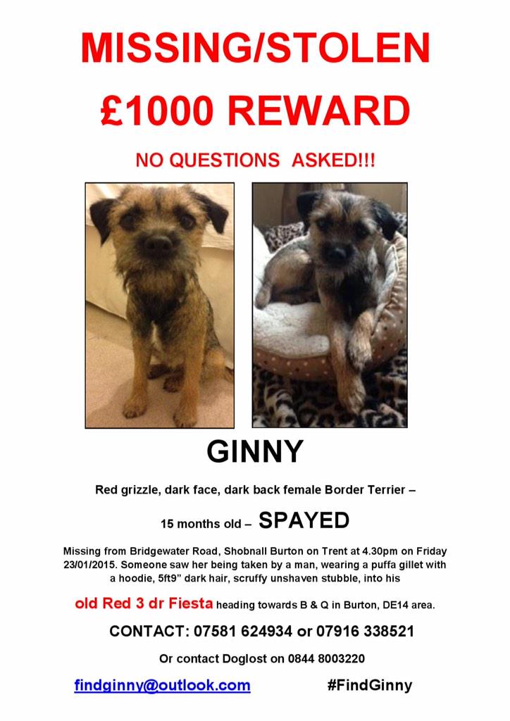 WheresGeoffrey's tweet photo. “@FindGinny: @PetsatHome http://t.co/J5sRsrVHmR” Please share and help to #FindGinny