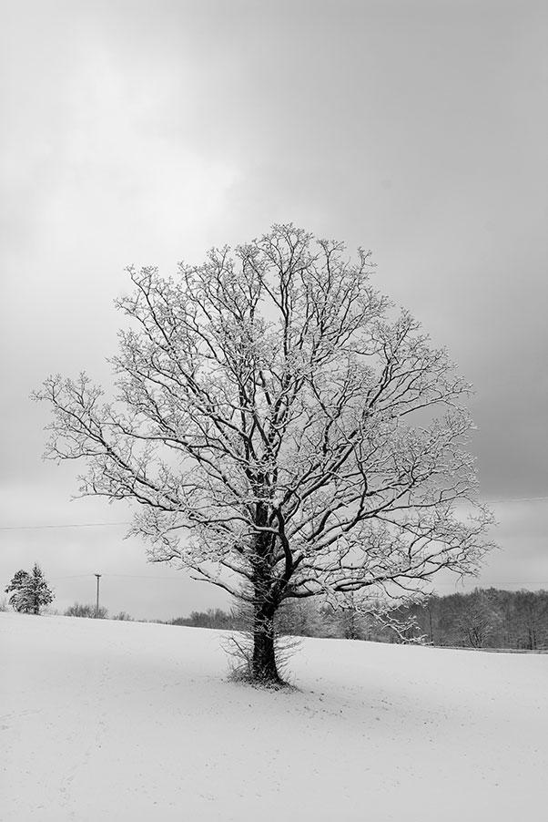 SeanPartin's tweet image. Snow 1/2015.