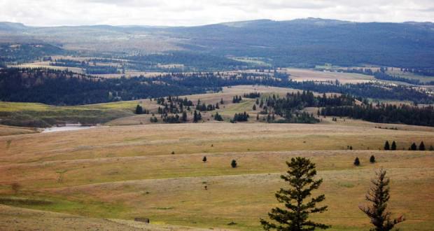 newsmash_'s tweet image. #Ajaxmine advisory group is frozen ow.ly/Ia2IP