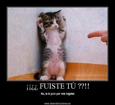 bysuru's tweet photo. ¡¡¡Yo no he sido!!! http://t.co/QmhbEgVUZR