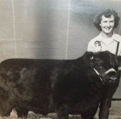 TennesseeCattle's tweet photo. It's Tennessee #ThrowbackThursday! #stockshowlife @AngusAssoc http://t.co/ZLcTpJROVX