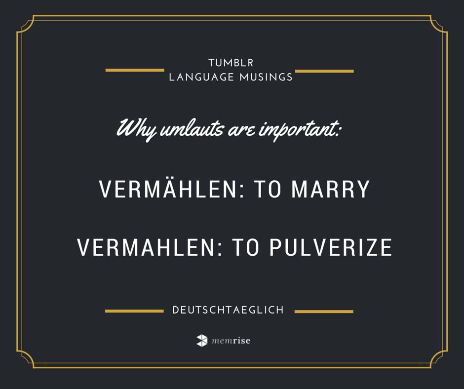 LanguageCrawler's tweet image. Why umlauts matter in German:
