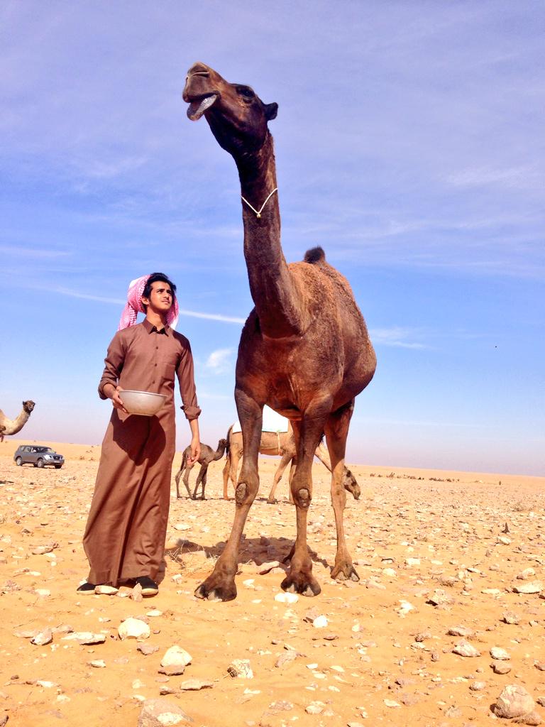 if557's tweet photo. حنا هل البل وكم الثوب ﻻ كوعه
متعوصبين و عصبنا عصبة رجالي
يرقى الطنخ روسنا والروس مرفوعه
غيم عليها السطر شجعان وابطالي http://t.co/dtuJDsPv7S