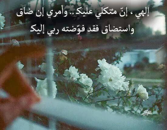 454545roto23's tweet photo. http://t.co/eiErqPAX5a