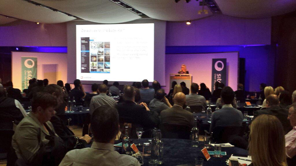 natmortimer's tweet photo. Rosie May presenting on behalf of @bluerubicon and their fantastic Ecosystem #SED15 @SitecoreUK http://t.co/Jb9aYMypm7