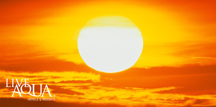 Live Aqua tweet media