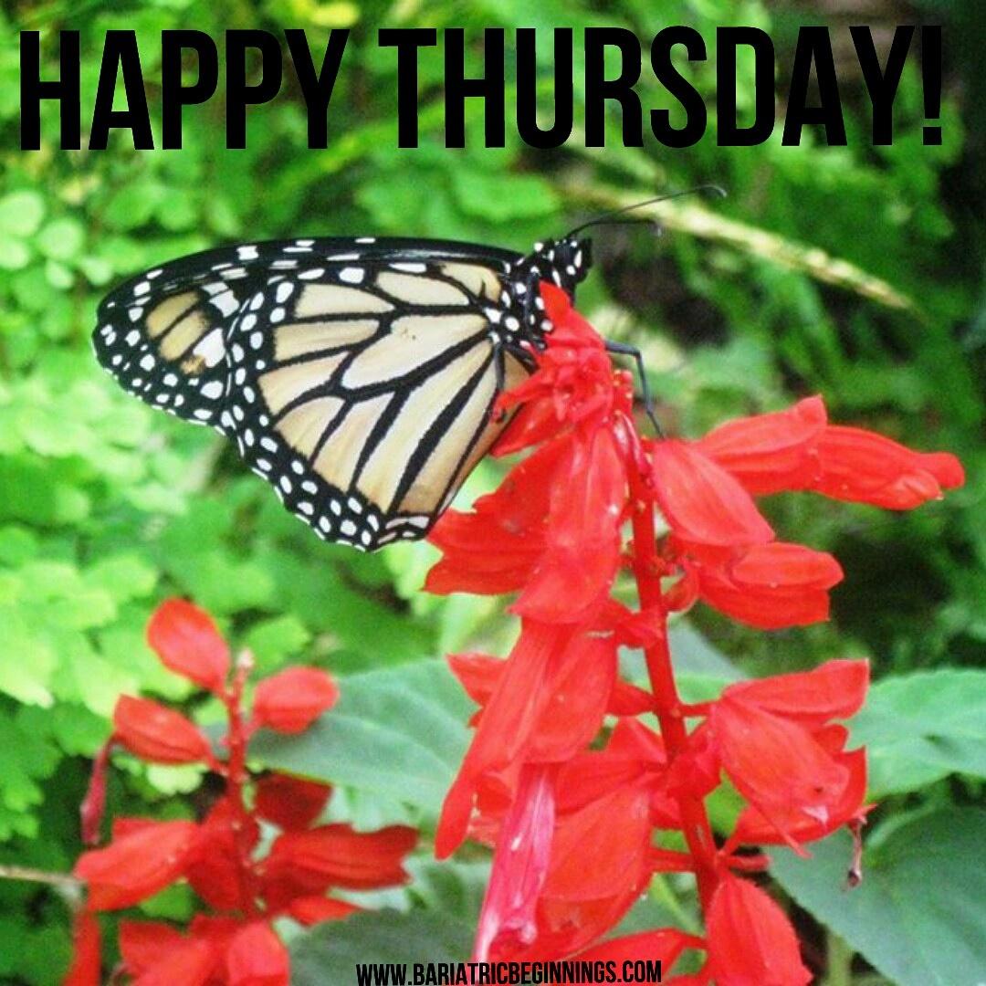BariatricBegin's tweet photo. Happy Thursday! http://t.co/NsRdhPwiwQ