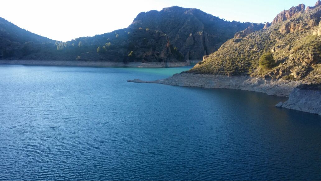 Turista y Optimista tweet media