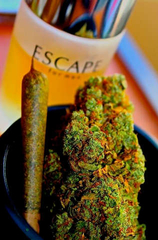 World1Affiliate's tweet photo. Retweet if you smoke joints http://t.co/emlRgO13wK