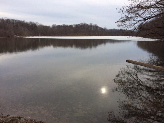 House committee passes ban on plastic beads polluting lakes:
wthitv.com/2015/01/28/hou… #plasticpollution