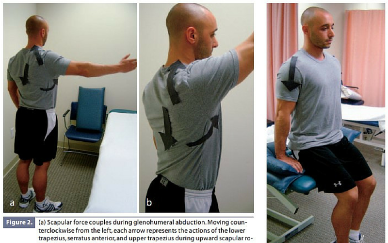 NSCA's tweet photo. Exercise Modifications & Strategies to Enhance Shoulder Function #shoulderstrong #modification http://t.co/AUwwGXLiFw http://t.co/nkHsn8X0FQ