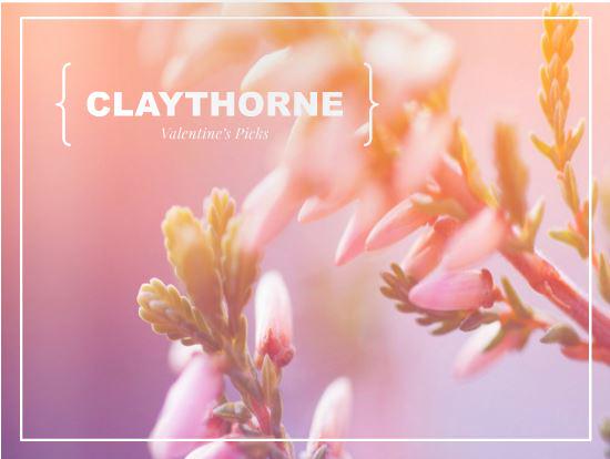 suncoat's tweet photo. Beautiful VDay gifting ideas in new @ClaythorneComms guide incl our water-based polish! http://t.co/5bdcYpVIW5 http://t.co/cK5nXVDYwG