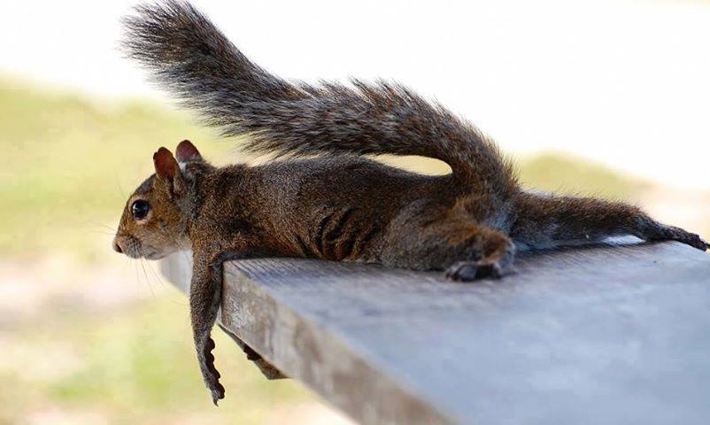 llligiouxxx2's tweet photo. #Pfffiou....J'en peux plus... http://t.co/AJgOPlH6GE