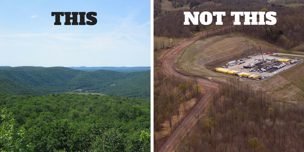 greenpeaceusa tweet picture