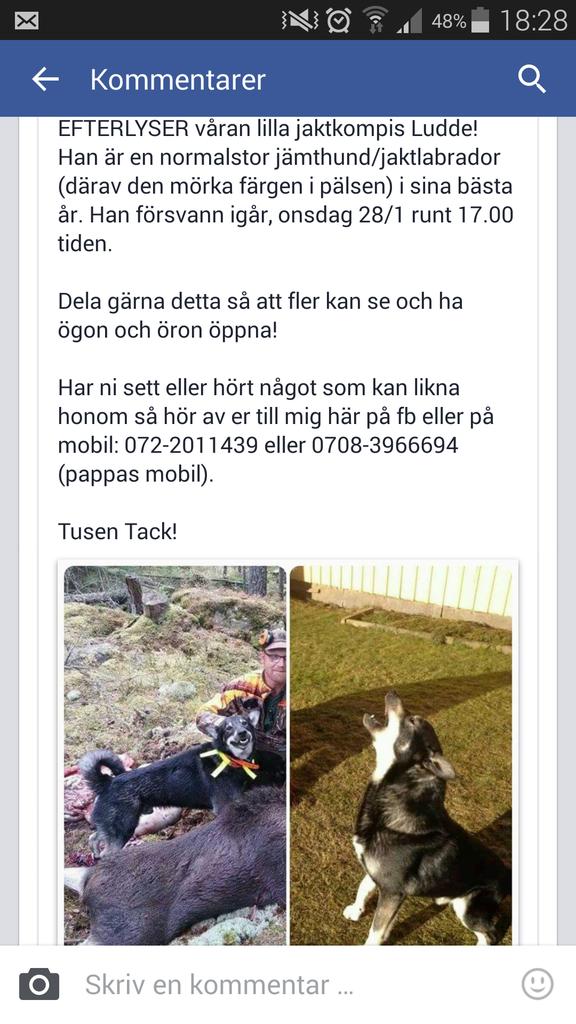 marcuslindforss's tweet photo. Retweeta så är ni guld värda! http://t.co/VY0lg7LTEV