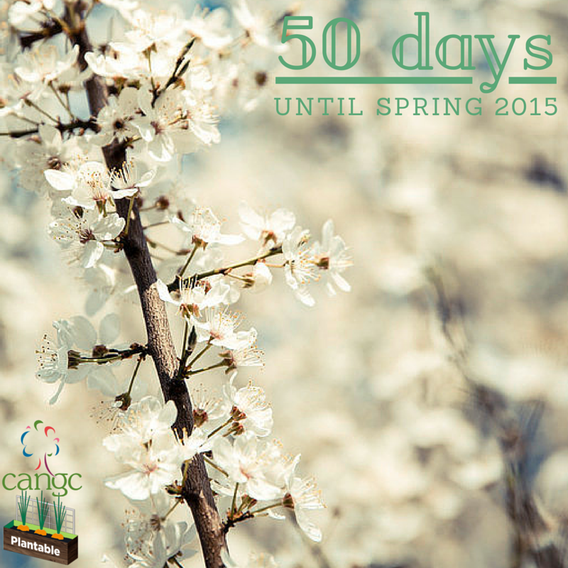 PlantCalifornia's tweet image. 50 days to #spring!