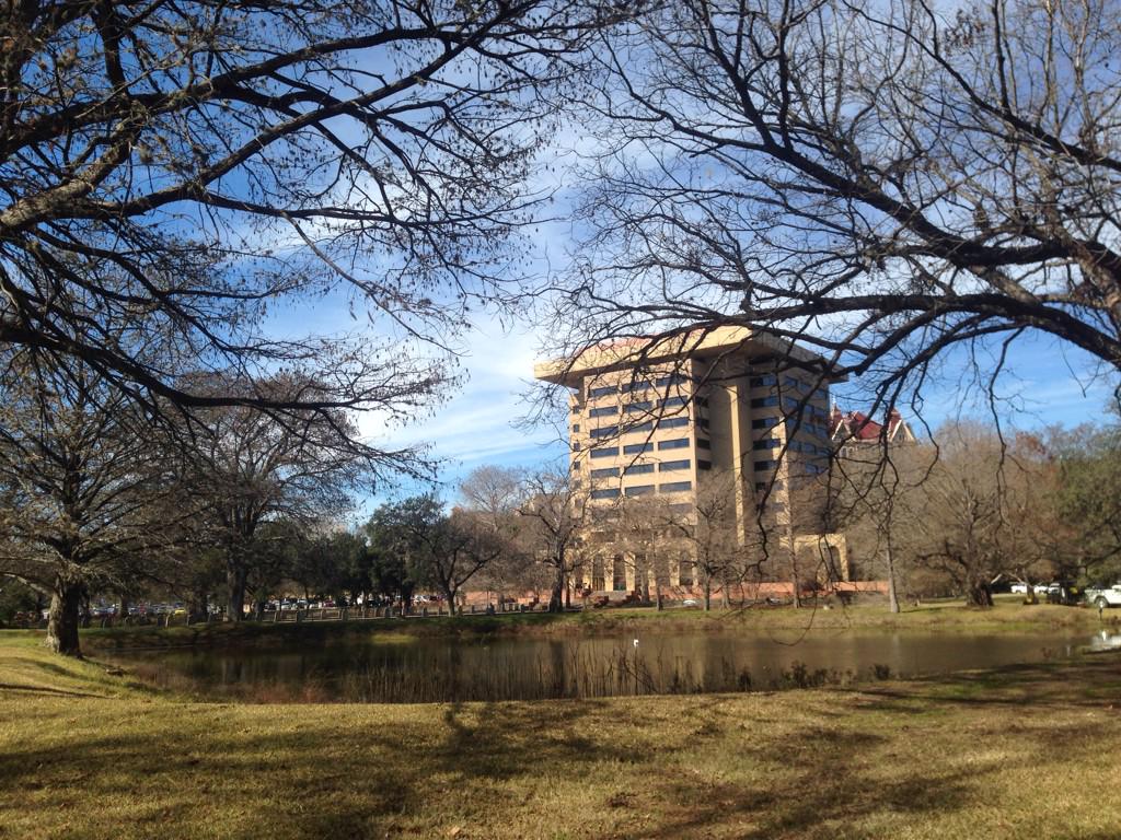 Jackhammeruss's tweet photo. Little known fact about #TXST This is a great spot to read a book, and watch vultures maul squirrel corpses. #FDOM15 http://t.co/29Y4rp23r7