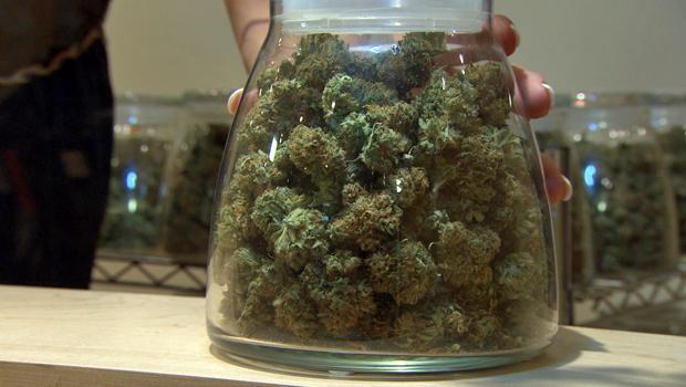 HIGH_TIMES_Mag's tweet photo. #Pot Is Making #Colorado So Much Money They Will Have To Give Some Back To Residents: http://t.co/kjcG53EFft http://t.co/1htNbRBfMg