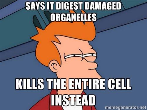 MitochonSLAYAH's tweet photo. @Lysosome_2015 @LadyLysosome at least mitochondria aren't responsible when the WHOLE cell DIES 😷🙅 #AHSOIC15 http://t.co/SBwymK9FvO
