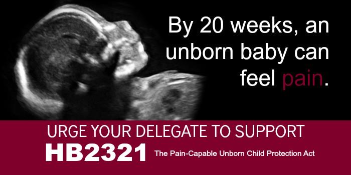 Help Pass the Pain-Capable Bill. Call your Delegate today. vshl.org/virginia_gener… #prolife <a href="/nrlc/">National Right to Life</a> <a href="/LifeNewsHQ/">LifeNews.com</a>  #TCOT