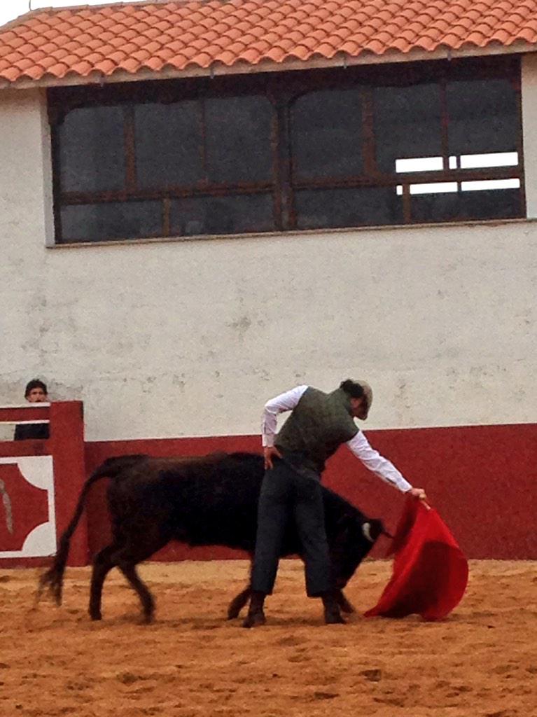 PerezPinto93's tweet photo. Que lujo poder ver torear a @miguelabellan http://t.co/VIn91vTOgv