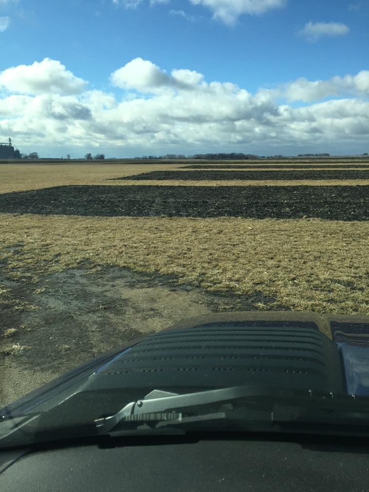 MHommez's tweet photo. Britt Answer Plot today.  No snow cover, 32 degrees and windy.  90 days and #plant15 will be here! #WinFieldInsight http://t.co/QQJlsi2J7c