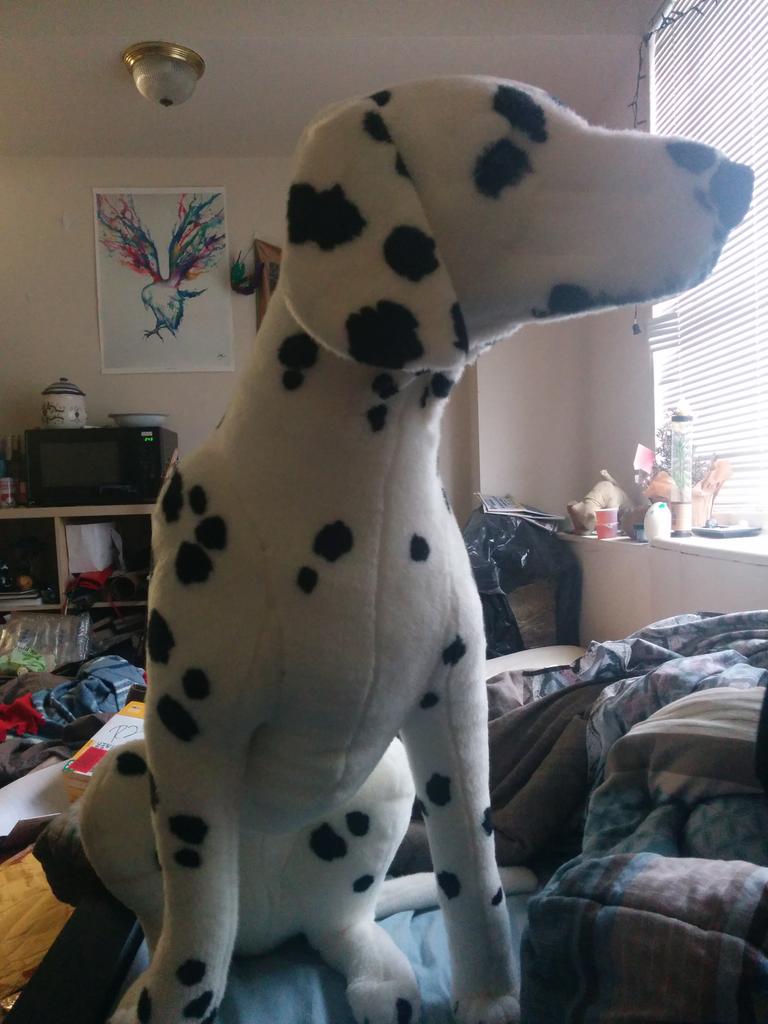 ColkaCola's tweet image. #ILostSleepBecause Domino kept barking (in my head...)