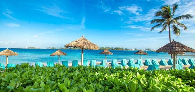 livefront's tweet photo. Countdown begins...the Livefront team has 42 days until our spring retreat to THE BAHAMAS!!! :) http://t.co/RtDJ4OU0AU