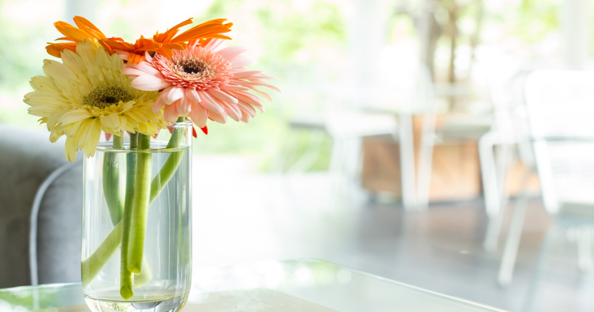 HGTV shares 10 tricks and tips to help you prep your home for the biggest return whe... otbd.it/U1bt8L