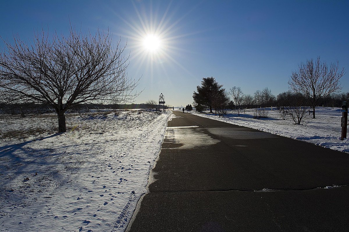 MikeSlickster's tweet photo. Sundry Shots from Neshaminy State Park; #LogansPoint #DelawareRiver #Photography #LoneSeagull http://t.co/TWhLEc4ruZ