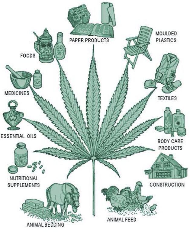 GeniusPothead tweet picture