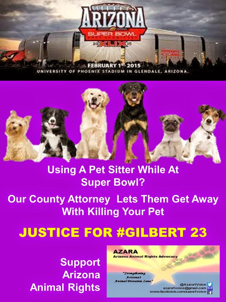 Azara1Voice's tweet image. @GrnAcrTragedy23 " @MollyNicoletta: @FaeBecca #Gilbert23 @RIP23Gilbert is there a GoFundMe page up yet?" #SB49