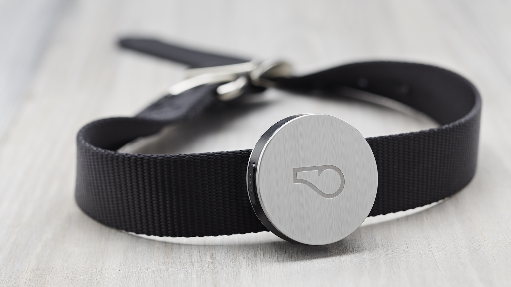 ForbesTech's tweet photo. Whistle, which makes wearable fitness trackers for dogs, just raised $15 million: http://t.co/Pet0QbafIB http://t.co/eLPzCS3zWZ