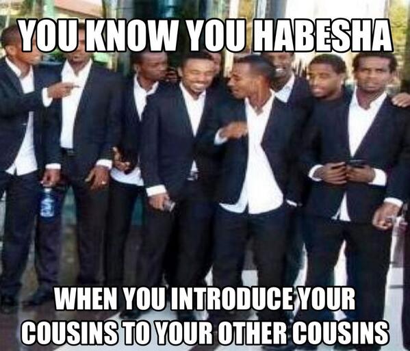 Habesha Problems On Twitter My Whole Life Summed Up In One Meme Habeshaproblems