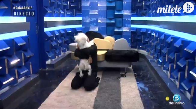 ghoficial's tweet photo. Víctor se encuentra por fin con Nou: "¡Separaditos nunnnca!" #Gala4GHVIP http://t.co/1F1UgJNoMF