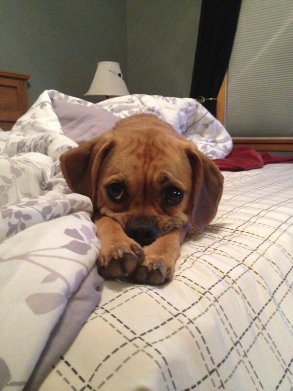 N0RES's tweet photo. he knows he's in trouble http://t.co/L3ofQcn9GP