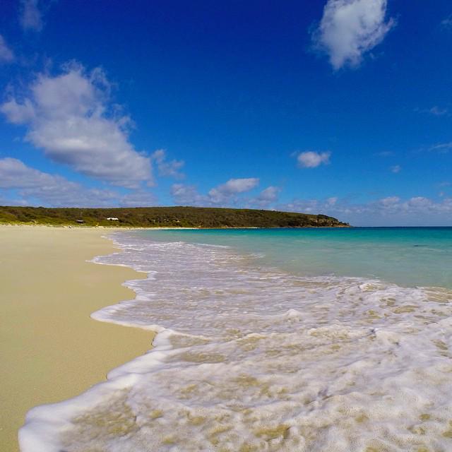 Australia's tweet photo. Not a bad spot for an afternoon stroll...with the beach all to yourself! Photo:@adzywa at Bunker Bay, @WestAustralia http://t.co/wDEsH6lDEf