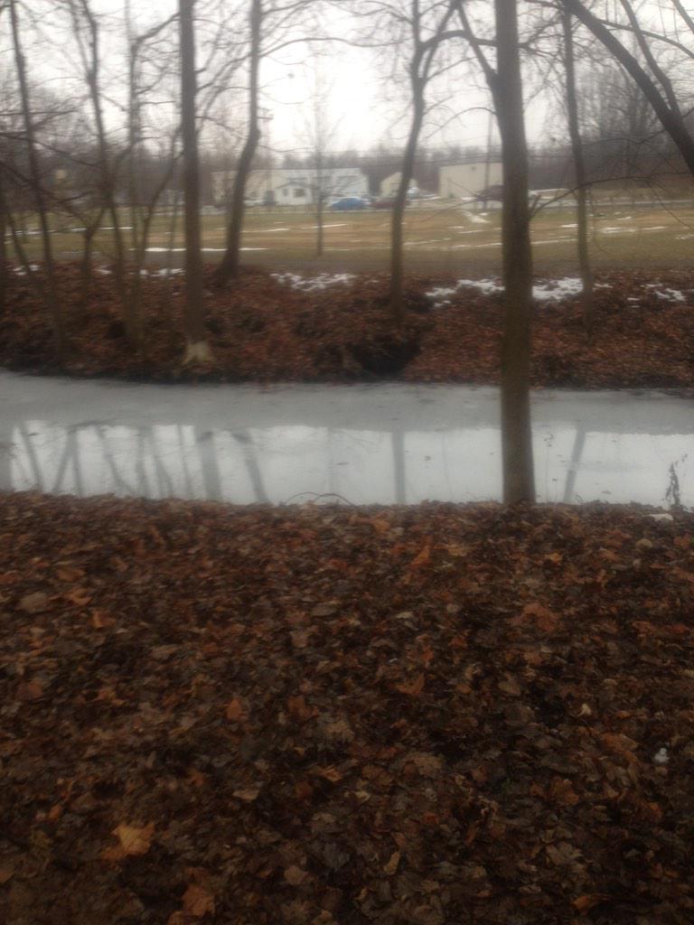 GettingFitVegan's tweet image. Out for a run this afternoon and the lake was still frozen