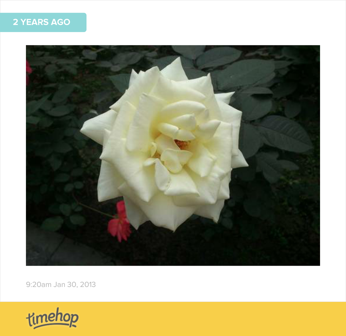 Shilpa Srivastava tweet media