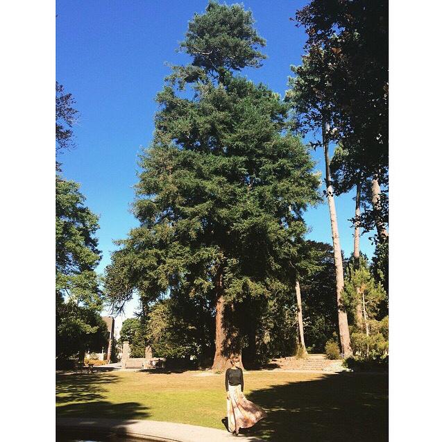 Walking in the park 🌲 #Christchurch Show tonight at the #IsaacTheatreRoyal #AngusAndJuliaStone #AustSummerTour2015