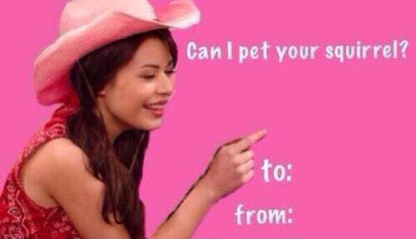 gsquirrelLC's tweet photo. To pet me, you have to catch me. 😏 http://t.co/yGkkdNqCRR